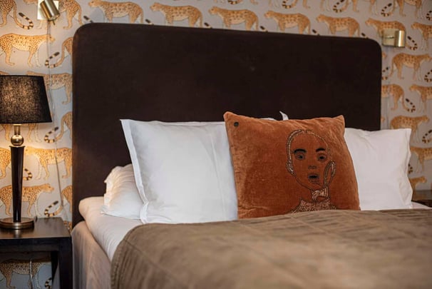 Standard basement V Hotel