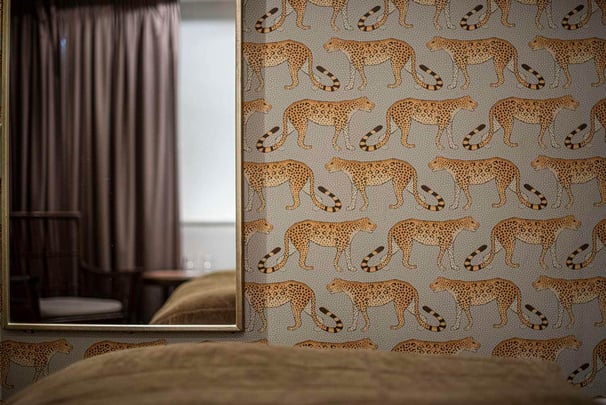 Standard basement V Hotel