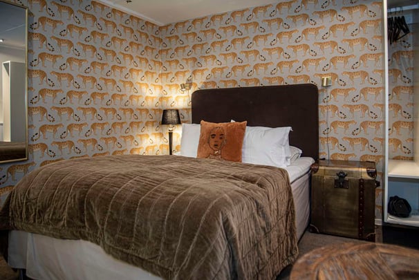 Standard basement V Hotel