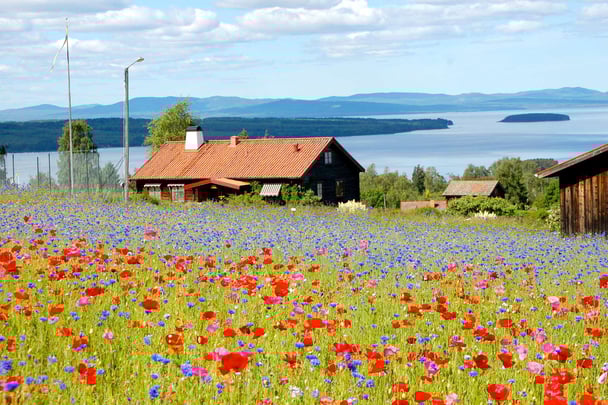 View of Lake Siljan