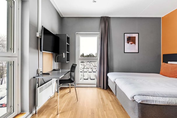 Economy twin Aiden Arlanda