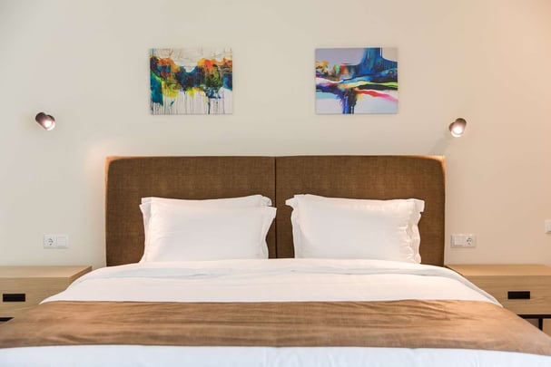 King Guest Room with One Bed