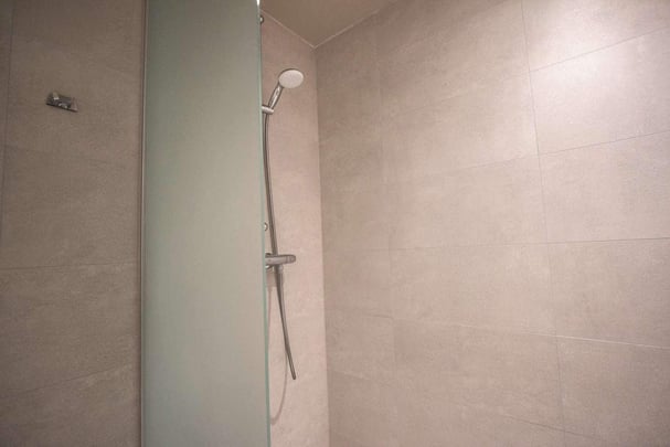 Family Room bathroom