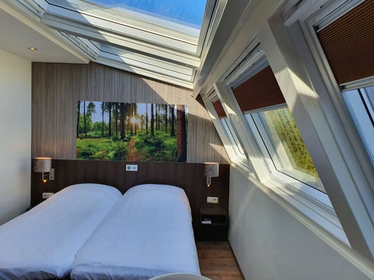 Skyview Room Bed