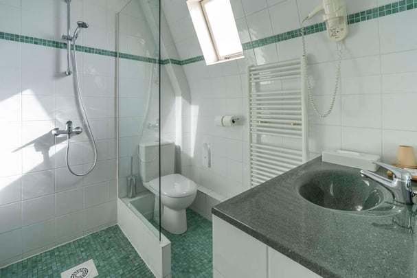 Best Western H tel de Diane C cile Langlois HD