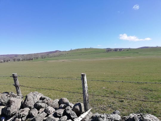 Plateau de l'Aubrac landscape