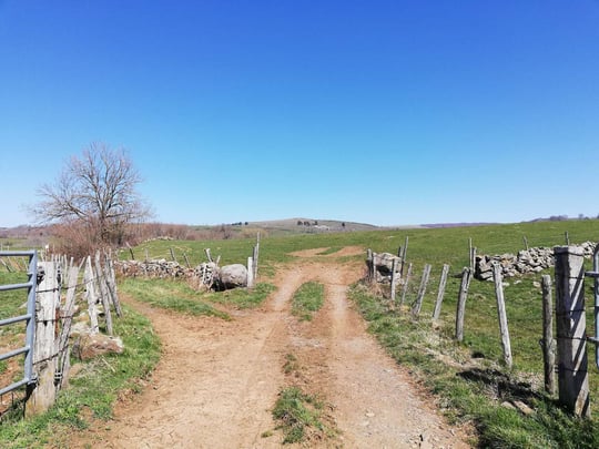 Plateau de l'Aubrac landscape