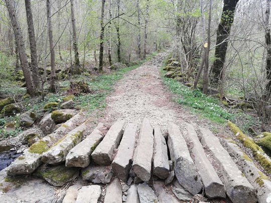 Surrouding landscape near Laguiole village