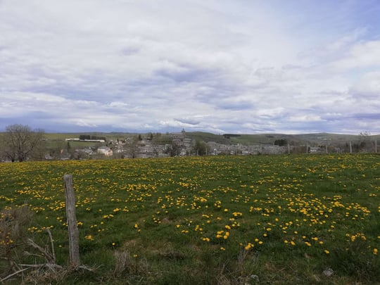 Surrounding landscade near Laguiole village