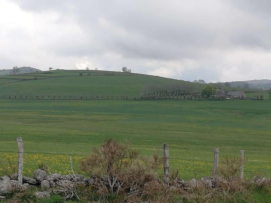 Spring surrounding landscape
