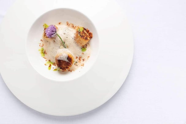 Restaurant - Scallops