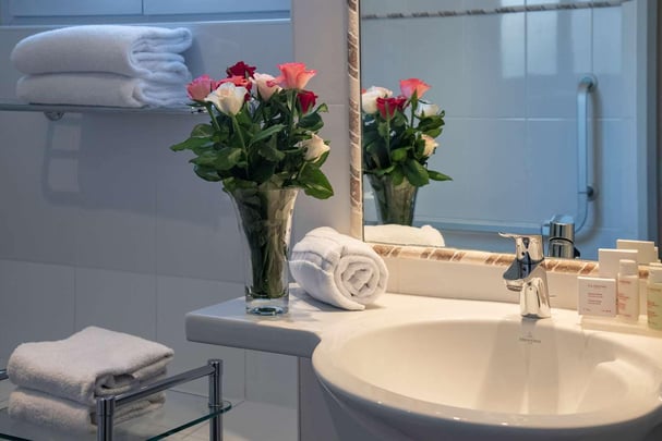 Chambre Sup Ville Twin SDB