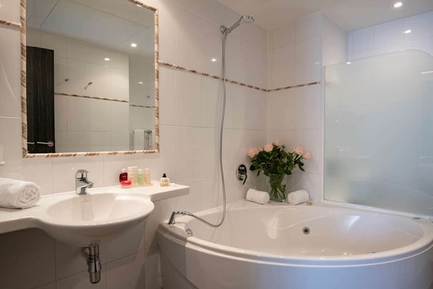 Chambre Deluxe Double SDB