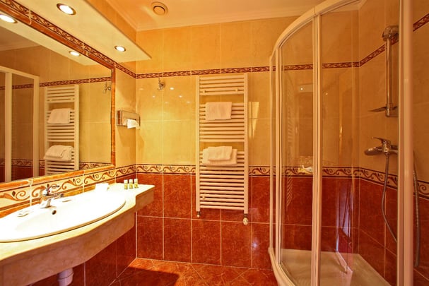 Guest Bathroom confort room
