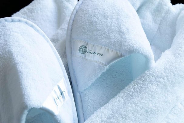 Hôtel Les Rives du Ter - Rooms