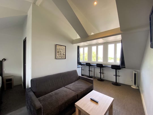 Appartment's living room