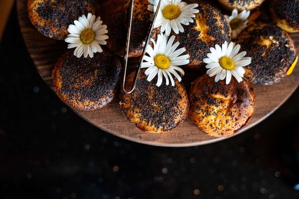 Le Masq Hotel La Rochelle PDJ