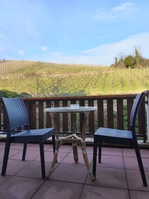 Guest room with terrace
