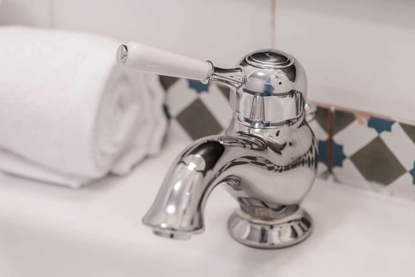 Guest Bathroom Fixture