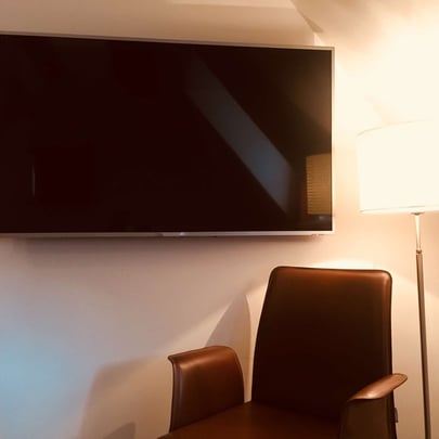 Large Screen Television