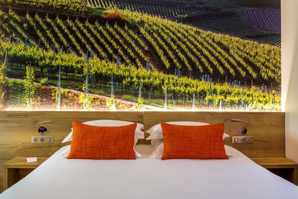 Executive Guest Room