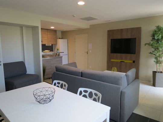 Suite Apartment - Living room - Hotel Hotelio