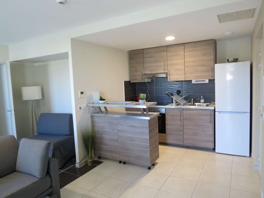 Suite Apartment - Kitchen - Hotel Hotelio