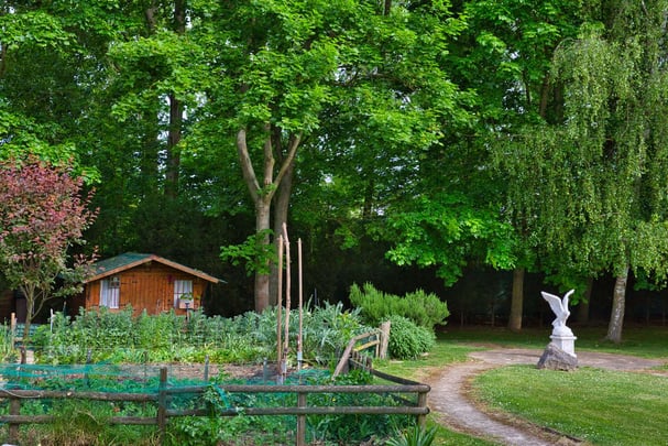 GARDEN AND ORGANIC VEG PLOT