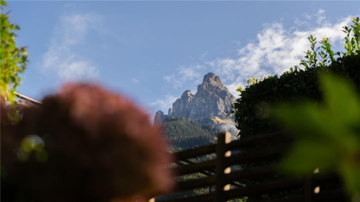 Auberge de l Orangerie Borre