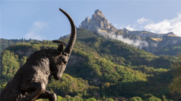 Auberge de l Orangerie Borre