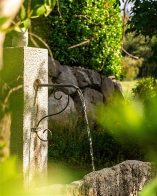 Auberge de l Orangerie Borre