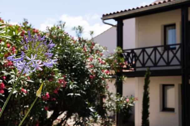 Garden @ DesVignesetDesAnges