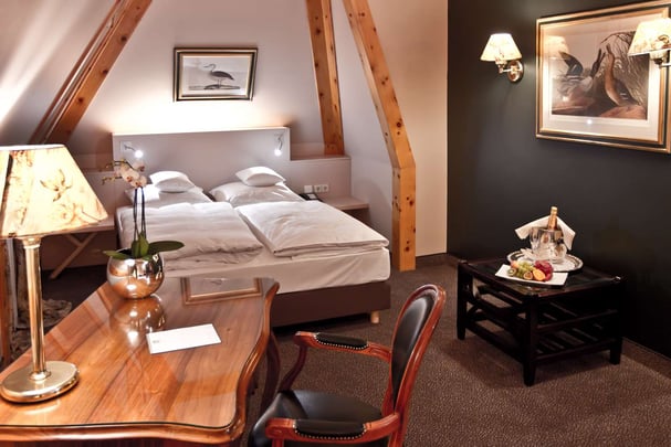 Standard double room