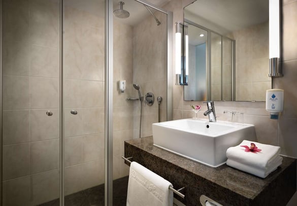 bathroom Business double room