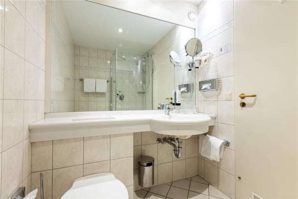 Bathroom Standard Double Room