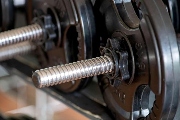 Health club  fitness center  gym