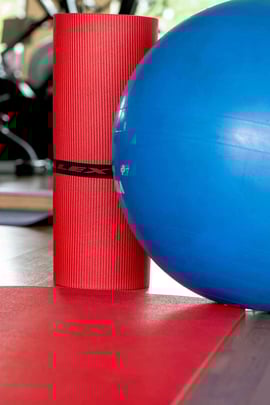 Health club  fitness center  gym