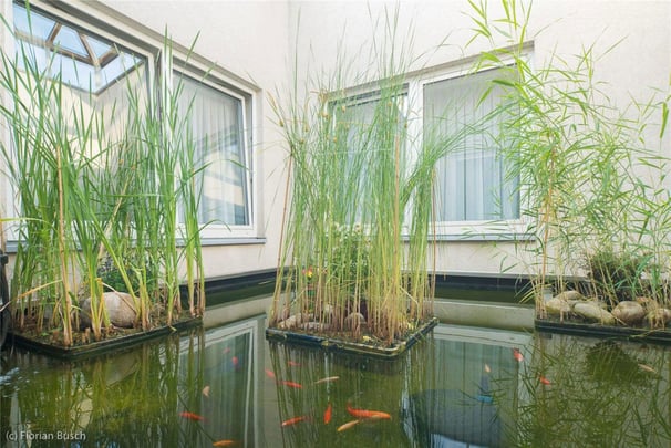 Recreational facility