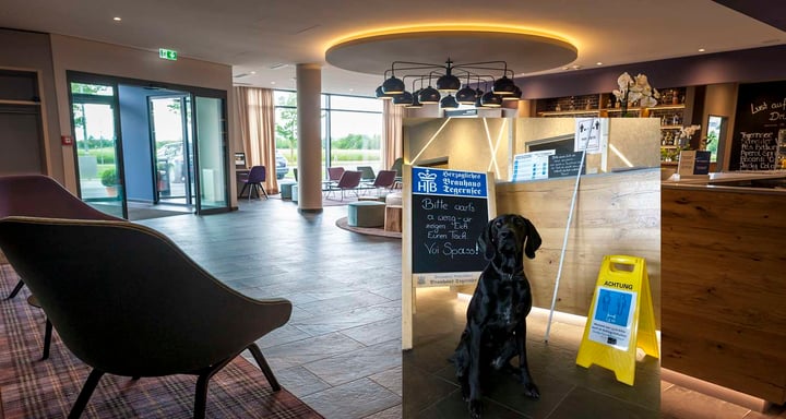 Corona Fina Hotel THE K