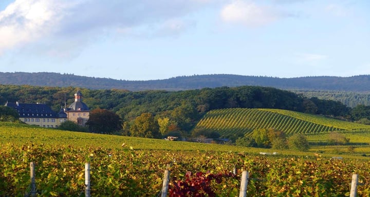 Castle_Vollrads_Rheingau