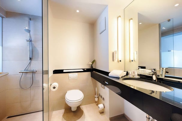 Best Western Plus Welcome Hotel Superior Twin bathroom