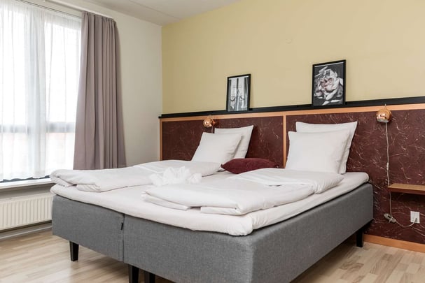 Business Room King Bed