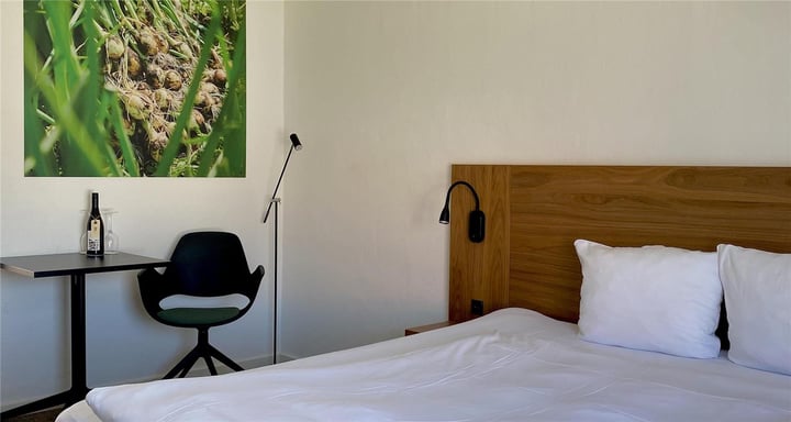 Hotel Dalgas Standard