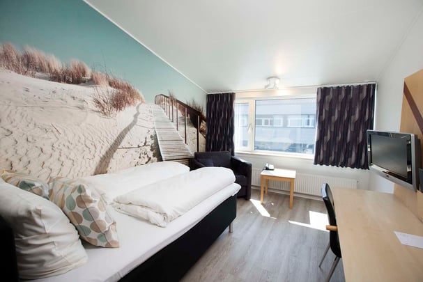 Economy double Hotel Hedegaarden