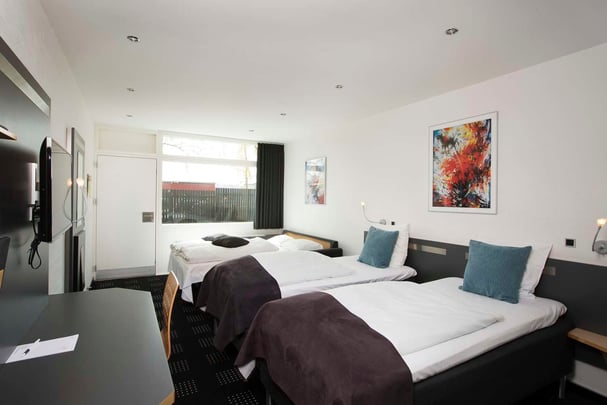 Standard Family Hotel Hedegaarden