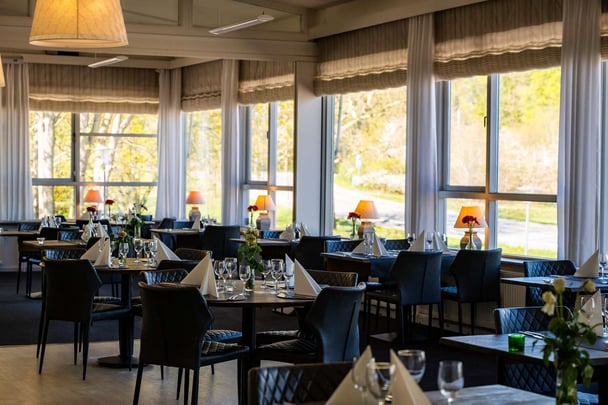 Restaurant Hotel Skanderborghus