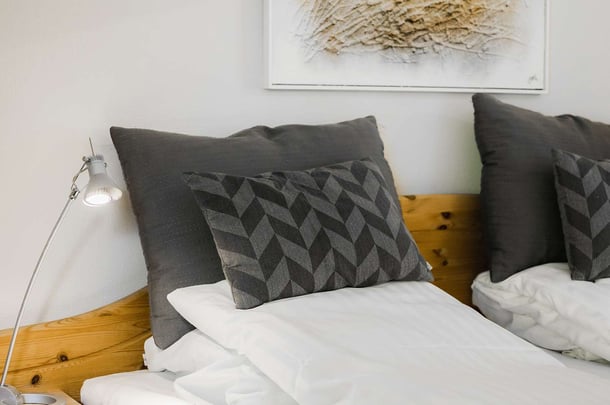 Standard Hovborg Kro