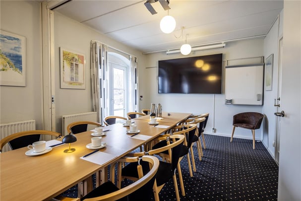 Hotel Birkso meeting