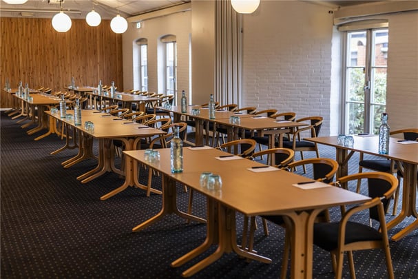 Hotel Birkso meeting