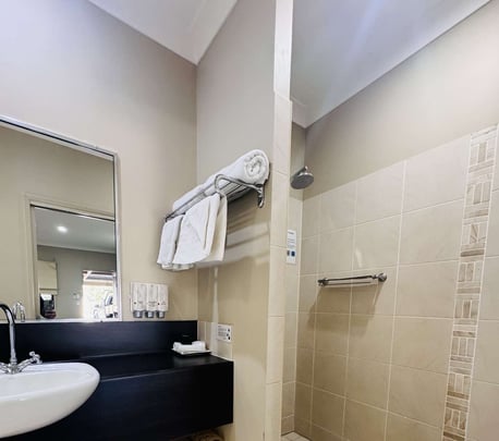 Twin bathroom shower